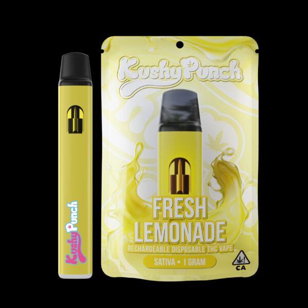 Kushy Punch Disposable All-In-One - Image 6