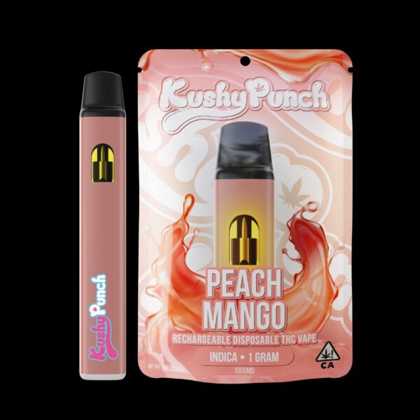 Kushy Punch Disposable All-In-One - Image 7